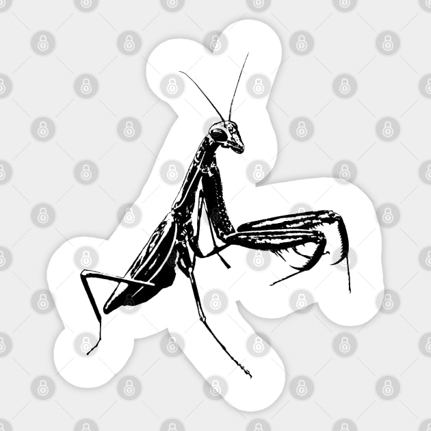 Mantis / Insect Sticker by R LANG GRAPHICS